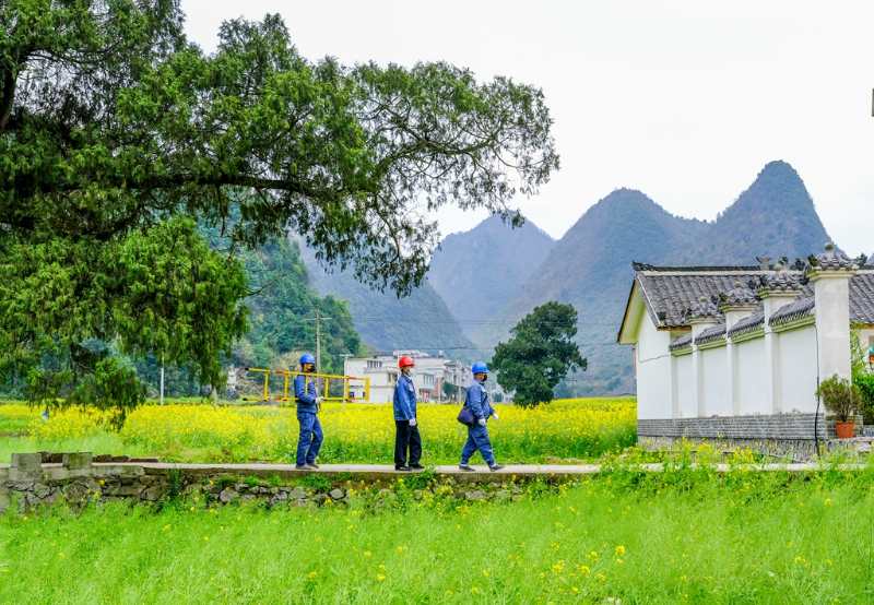 平塘供電局：“網(wǎng)格化”服務(wù)，護(hù)航“菜籃子”