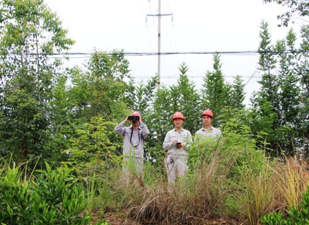 國網江永縣供電公司:負責人帶隊巡線，精施策護網保電