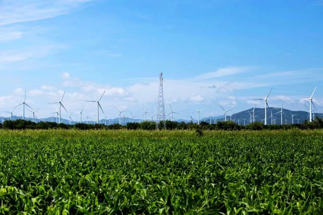 收購墨西哥818MW光伏電站，國家電投境外光伏電站裝機超6GW