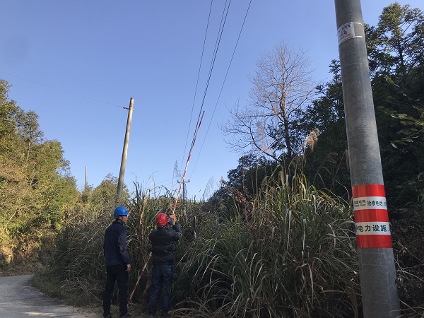 國網(wǎng)南豐縣供電公司：為電桿穿上“防撞衣”，確保交通安全