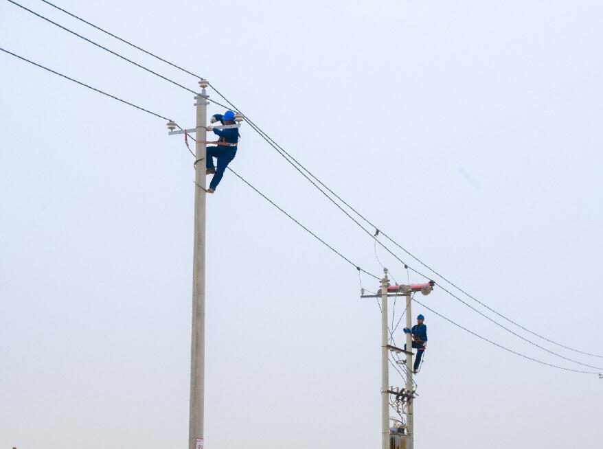 阿拉善供電公司：電網(wǎng)健康“體檢”，從登桿開始