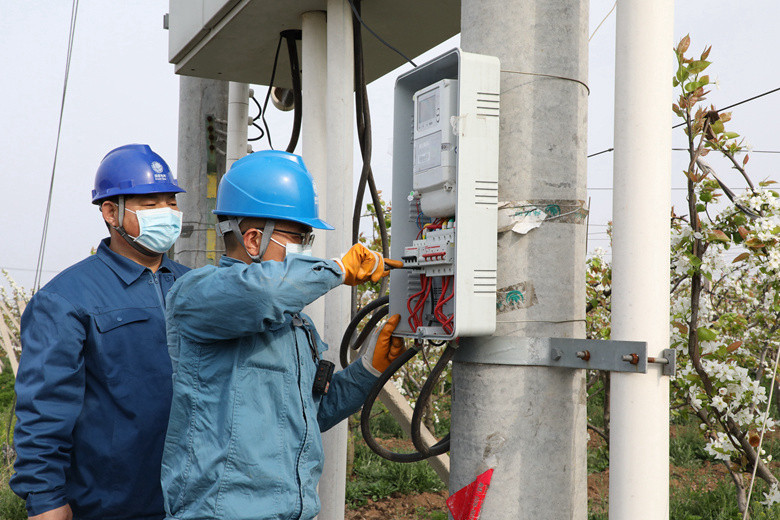 國網(wǎng)諸城市供電公司電力足，千畝梨園花正濃