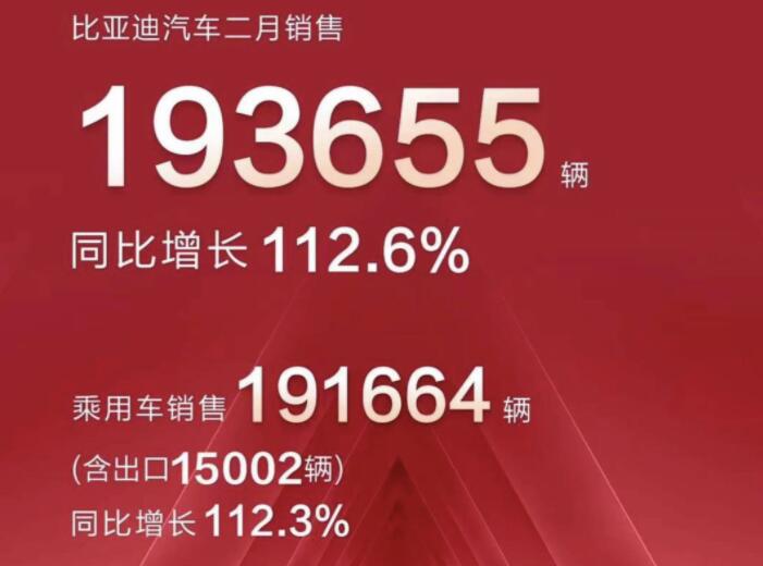 2月新能源車企成績單出爐，比亞迪一騎絕塵