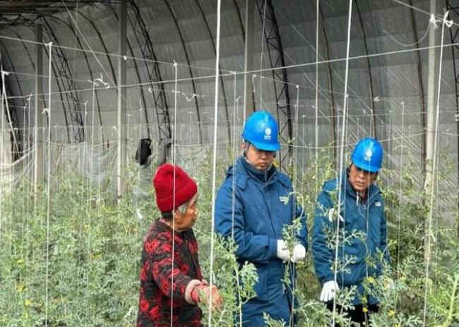 山東惠民供電公司：走訪種植大棚，優(yōu)化農(nóng)業(yè)營商環(huán)境