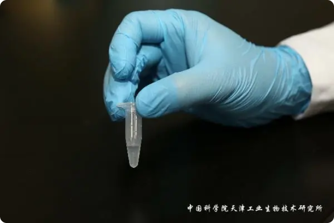 二氧化碳“變身”糖，中國科學(xué)家實現(xiàn)重大突破!