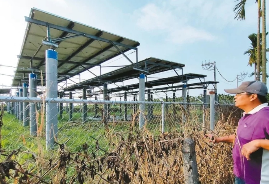 臺(tái)媒：農(nóng)田“種電”讓農(nóng)民苦不堪言，島內(nèi)面臨農(nóng)電兩失困境