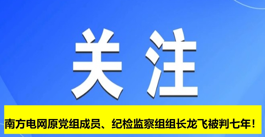 南方電網(wǎng)原黨組成員、紀(jì)檢監(jiān)察組組長龍飛被判