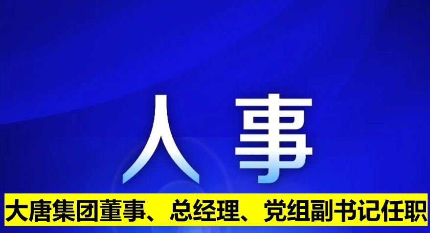 大唐集團董事、總經(jīng)理、黨組副書記任職